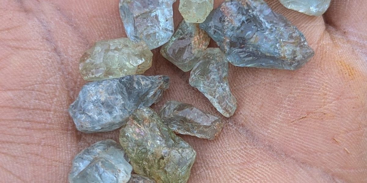 PXL_20260114_131955845.PORTRAIT.ORIGINAL