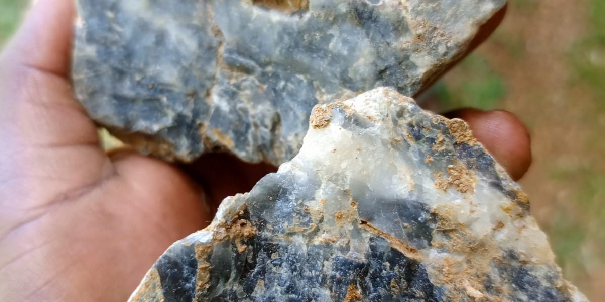 WhatsApp Image 2026-01-17 at 2.31.46 PM